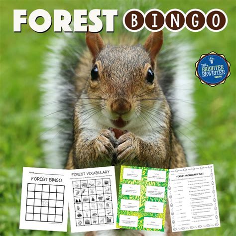 Forest Habitats Bingo Game | Word Search | Reading Passage | Vocabulary games for kids, Small ...