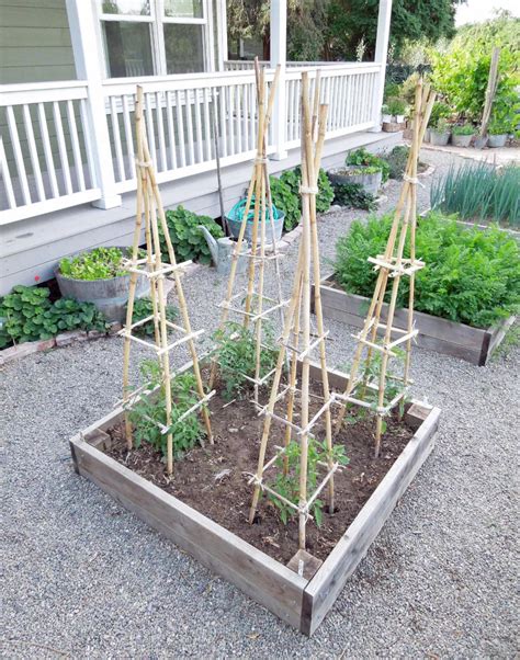 Want to make your own tomato cages? | Bamboo garden, Vegetable garden ...