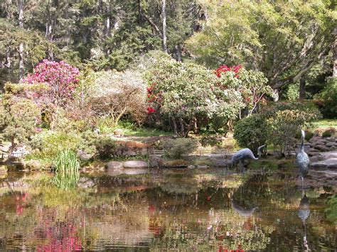 What a Ride!!: Shore Acres Botanical Garden