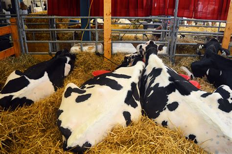 102nd Pennsylvania Farm Show | City of Harrisburg