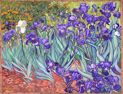 Purple Irises Painting by Vincent Van Gogh - Pixels