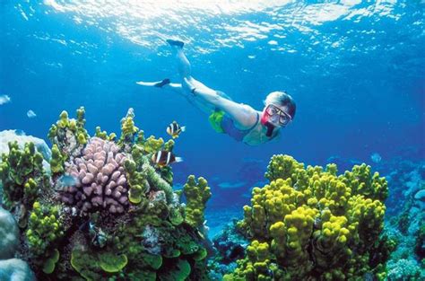 Puerto Morelos Snorkeling | The best Snorkeling in Riviera Maya | Puerto Morelos