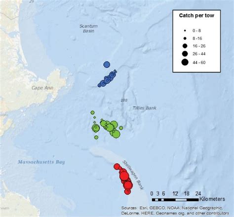 Winter flounder spawning offshore in the southern Gulf of Maine – Fish ...