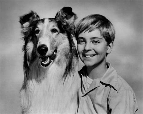 Lassie (1954 TV series) - Alchetron, the free social encyclopedia