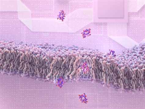 Synthetic peptide molecules open the way for new drugs – Cosmic Log