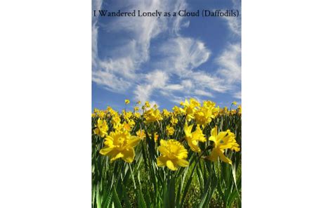 I Wandered Lonely as a Cloud (Daffodils) by oziel ortiz on Prezi