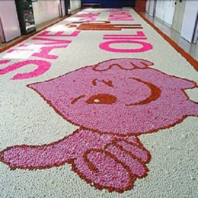 Largest Candy Mosaic (Individual – Girl) - World Record Holders Club