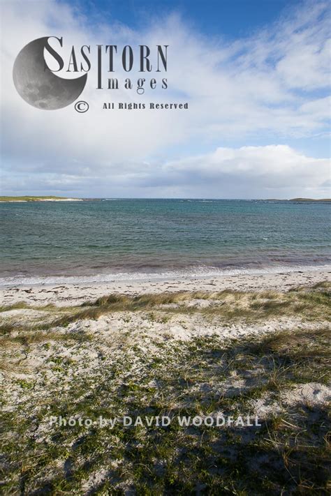 Balranald beach, ideal feeding conditions for Little Terns to feed with ...