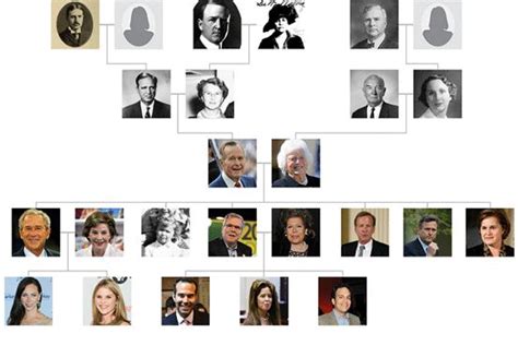 Pin by Ronald Grey on Discover My Surrender | Bush family, Family tree, George herbert walker