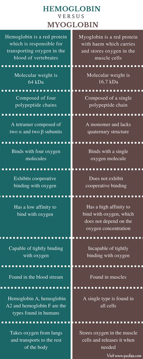 Difference Between Hemoglobin and Myoglobin | Definition, Structure and Composition, Function