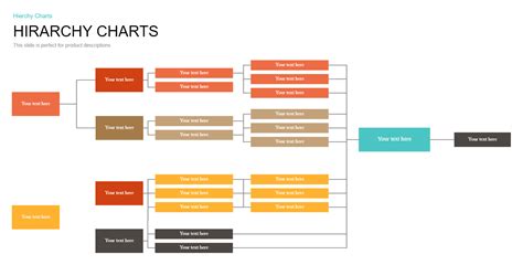 Hierarchy Chart Template | EdrawMax Template