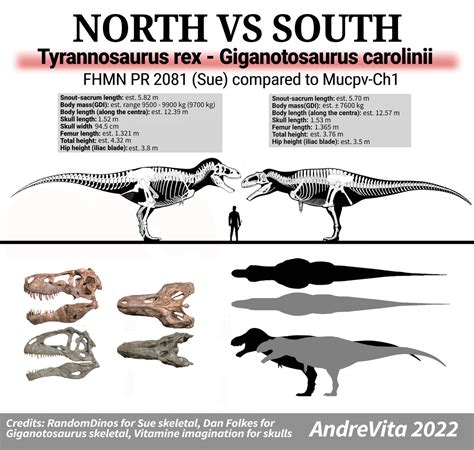 Tyrannosaurus-Giganotosaurus SIZE COMPARISON by JokerLucille666 on DeviantArt