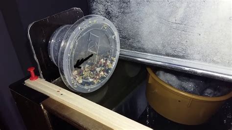 Diy Fish Feeder : Automatic Fish Feeder Homemade ( Latest Version ) #ronawazro, #egasocmeddaa3 ...