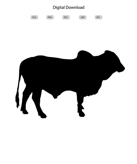 Brahman Bull Svg Brahman Bull Silhouette Brahman Bull Svg Design ...