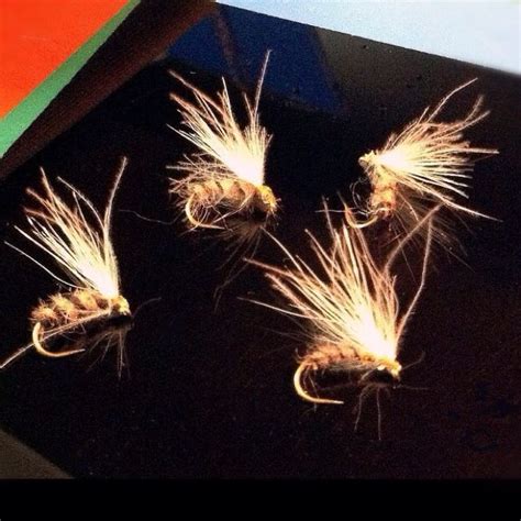 Wasp fly TMC2487#12 Fly Tying Desk, Fly Fishing Flies Pattern, Wasp ...