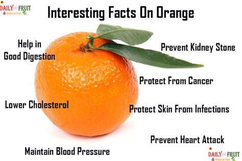 Nutrition chart for Orange