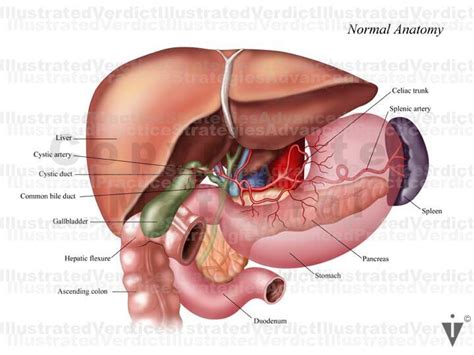 Splenic Artery