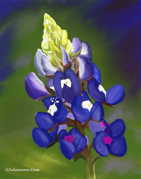 The Love of a Bluebonnet - digital painting | Watercolor paintings for ...