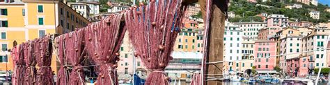 Culture of Italy's Riviera and Cinque Terre Liguria Region