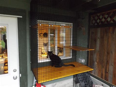 Window enclosure, by Beautiful World Living Environments, catscape.ca Outdoor Pet Enclosure, Cat ...