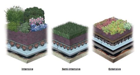 Top Up Your Shelter Green With Green Roofs - Packaging Materials