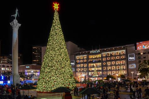 San Francisco Christmas Trees and Holiday Lights