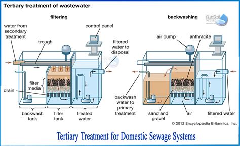 What is the Tertiary Treatment of Domestic sewage systems