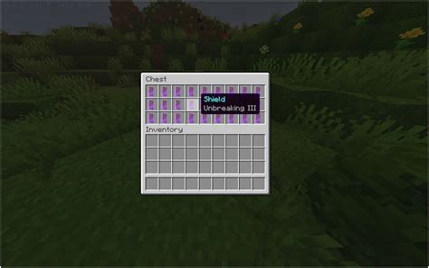 Top 3 enchantments for shields in Minecraft