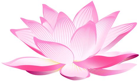 Lotus clipart lotus plant, Lotus lotus plant Transparent FREE for download on WebStockReview 2023