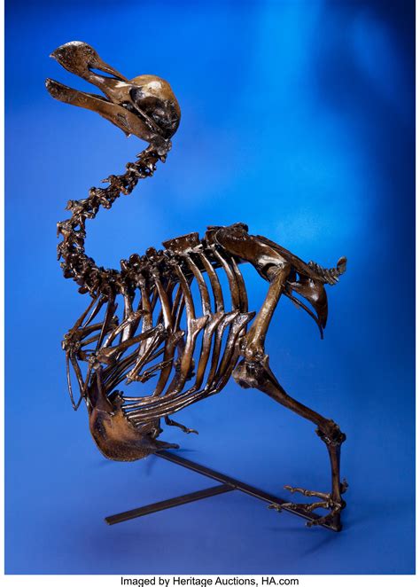 RARE DODO BIRD SKELETON CAST. ... Dinosauria Casts | Lot #49221 | Heritage Auctions