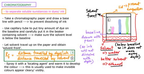 Paper Chromatography Experiment at Home - Your Science Online