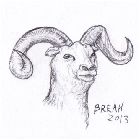 Bighorn Sheep Sketch at PaintingValley.com | Explore collection of ...