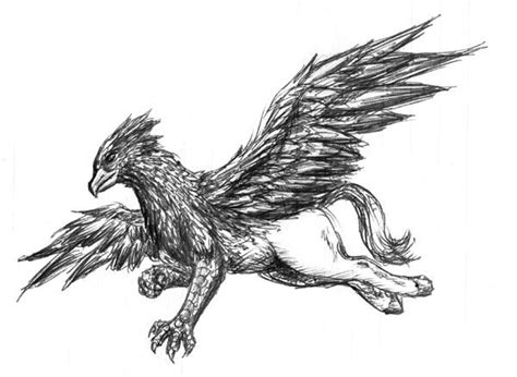 Hippogriff by Ciarra | Harry potter tattoo small, Picture tattoos, Drawings