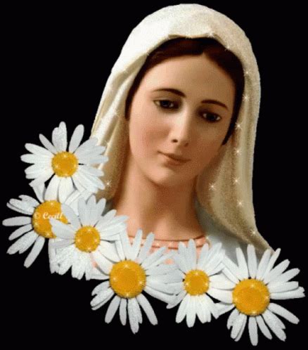 Mary Mother Of God Virgin Mary GIF - Mary Mother Of God Virgin Mary ...