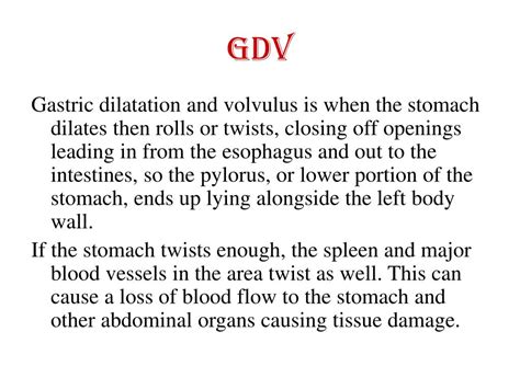 PPT - Gastric Dilatation and Volvulus (GDV) PowerPoint Presentation, free download - ID:2282843