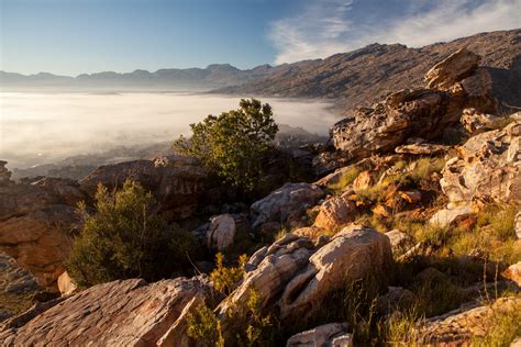 Ceres Valley, South Africa | Richard Pendavingh