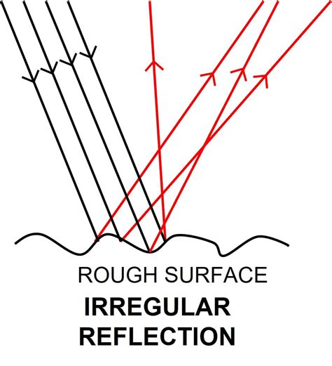 With the help of diagrams, explain the difference between | KnowledgeBoat