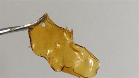 Making Rosin Dabs - Solvent-less Extraction Method - Smoke Weed Inc