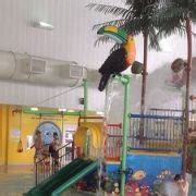 238 Things to Do with Kids in Warren, MI | TripBuzz