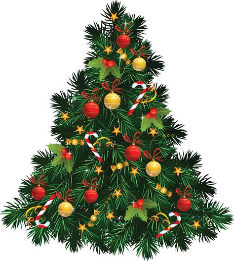 Collection of Christmas Tree PNG. | PlusPNG