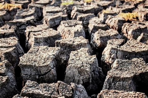 Arid soil with texture. 30912212 Stock Photo at Vecteezy