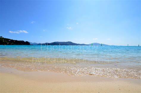 Hamilton Island Beach #HamiltonIsland | Island beach, Hamilton island, Island