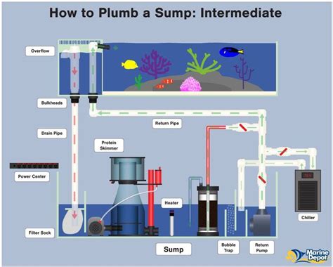 How to Plumb a Sump - Plumbing Diagrams For Your Aquarium Sump | Saltwater aquarium, Aquarium ...