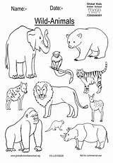 Wild Animals Coloring Page For Kids sketch template