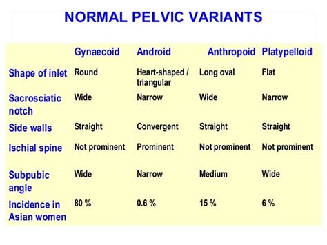 Android Shaped Pelvis - Android 2D