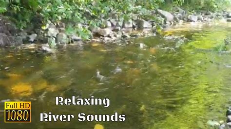 Relaxing River Sounds - Peaceful Forest River - Nature Sounds - YouTube