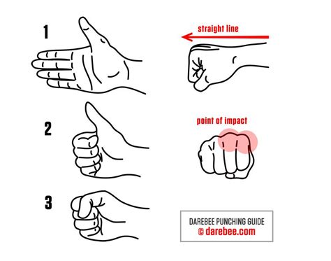 How to Form a Fist - Punching Guide by DAREBEE | Martial arts workout ...