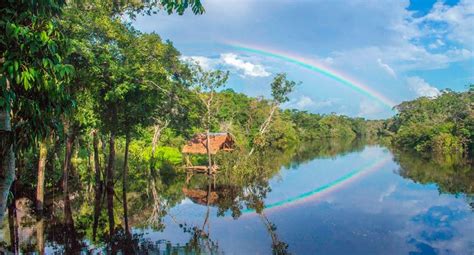 The Top 5 Iquitos Amazon Lodges