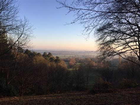 The Deepdene Trail (Dorking) - 2020 All You Need to Know Before You Go (with Photos) - Dorking ...