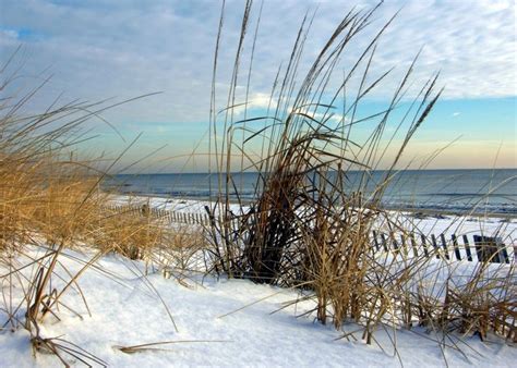 lewes beach | Rehoboth beach, Delaware hotels, Rehoboth beach delaware